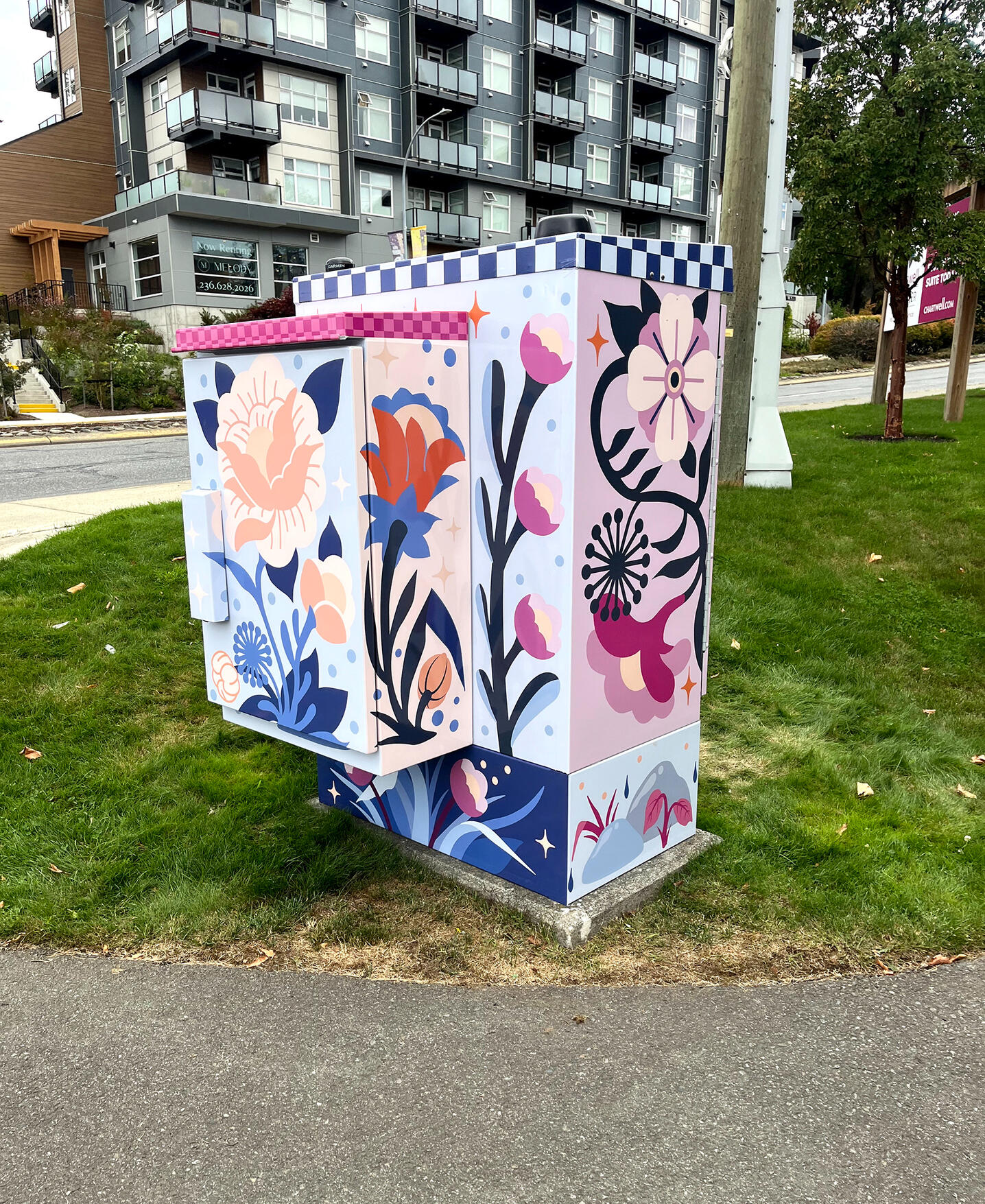 Nanaimo Kiosk Box 2